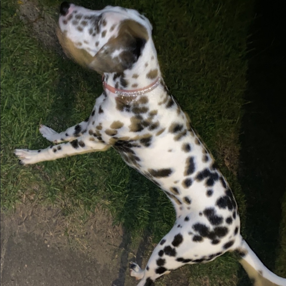 She’s getting so big